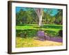 Cricket Match, St George, Granada, 2011-Andrew Macara-Framed Giclee Print