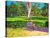 Cricket Match, St George, Granada, 2011-Andrew Macara-Stretched Canvas