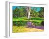 Cricket Match, St George, Granada, 2011-Andrew Macara-Framed Giclee Print