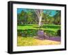 Cricket Match, St George, Granada, 2011-Andrew Macara-Framed Premium Giclee Print