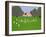 Cricket Match-Micaela Antohi-Framed Giclee Print