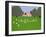 Cricket Match-Micaela Antohi-Framed Giclee Print