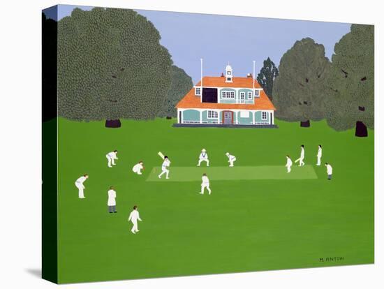 Cricket Match-Micaela Antohi-Stretched Canvas