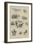 Cricket Notes for the Dog Days-null-Framed Giclee Print