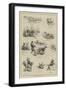 Cricket Notes for the Dog Days-null-Framed Giclee Print