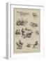 Cricket Notes for the Dog Days-null-Framed Giclee Print