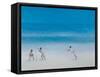 Cricket on the Beach, 2012-Lincoln Seligman-Framed Stretched Canvas