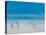 Cricket on the Beach, 2012-Lincoln Seligman-Stretched Canvas