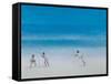 Cricket on the Beach, 2012-Lincoln Seligman-Framed Stretched Canvas