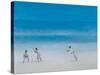 Cricket on the Beach, 2012-Lincoln Seligman-Stretched Canvas