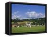 Cricket on Village Green, Surrey, England-Jon Arnold-Framed Stretched Canvas