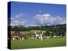 Cricket on Village Green, Surrey, England-Jon Arnold-Stretched Canvas