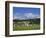 Cricket on Village Green, Surrey, England-Jon Arnold-Framed Photographic Print