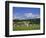 Cricket on Village Green, Surrey, England-Jon Arnold-Framed Photographic Print