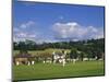 Cricket on Village Green, Surrey, England-Jon Arnold-Mounted Photographic Print