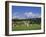 Cricket on Village Green, Surrey, England-Jon Arnold-Framed Photographic Print