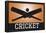 Cricket Orange Sports Poster Print-null-Framed Poster