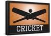 Cricket Orange Sports Poster Print-null-Framed Poster