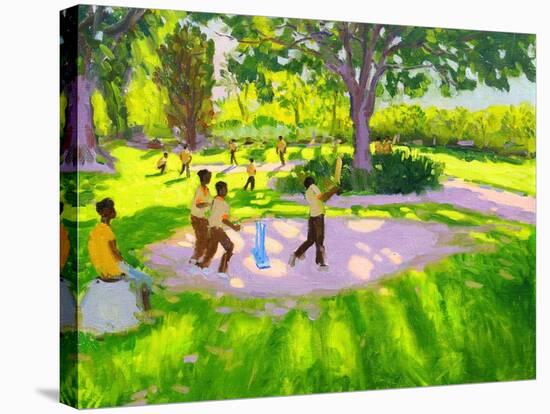 Cricket Practice, Botanical Gardens, Dominica, Grenadines, West Indies-Andrew Macara-Stretched Canvas