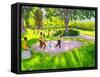 Cricket Practice, Botanical Gardens, Dominica, Grenadines, West Indies-Andrew Macara-Framed Stretched Canvas