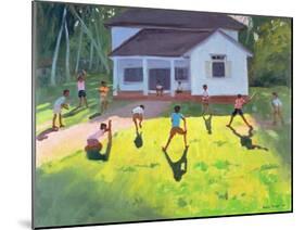 Cricket, Sri Lanka, 1998-Andrew Macara-Mounted Giclee Print