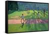 Cricket, Sri Lanka, 1998-Andrew Macara-Framed Stretched Canvas