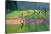 Cricket, Sri Lanka, 1998-Andrew Macara-Stretched Canvas