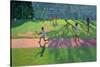 Cricket, Sri Lanka, 1998-Andrew Macara-Stretched Canvas