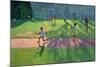 Cricket, Sri Lanka, 1998-Andrew Macara-Mounted Giclee Print