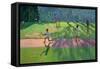 Cricket, Sri Lanka, 1998-Andrew Macara-Framed Stretched Canvas