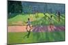 Cricket, Sri Lanka, 1998-Andrew Macara-Mounted Giclee Print