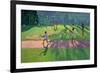 Cricket, Sri Lanka, 1998-Andrew Macara-Framed Giclee Print