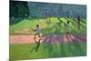 Cricket, Sri Lanka, 1998-Andrew Macara-Mounted Giclee Print