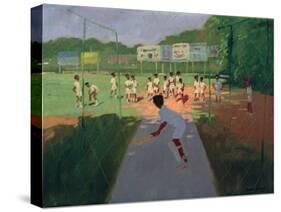 Cricket, Sri Lanka-Andrew Macara-Stretched Canvas