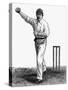 Cricket the Leg-Break Bowling Technique-null-Stretched Canvas