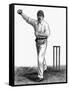 Cricket the Leg-Break Bowling Technique-null-Framed Stretched Canvas