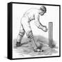 Cricket Wicket Keeping-null-Framed Stretched Canvas