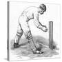 Cricket Wicket Keeping-null-Stretched Canvas