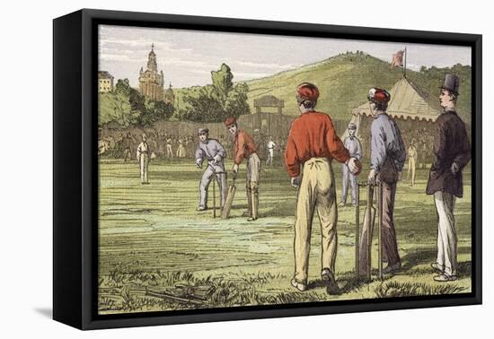 Cricket-null-Framed Stretched Canvas