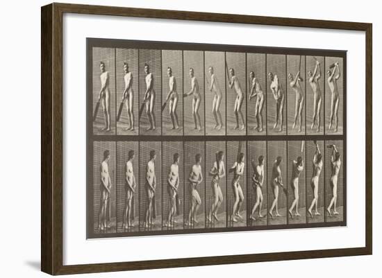 Cricketer, Plate 291 from 'Animal Locomotion', 1887-Eadweard Muybridge-Framed Giclee Print