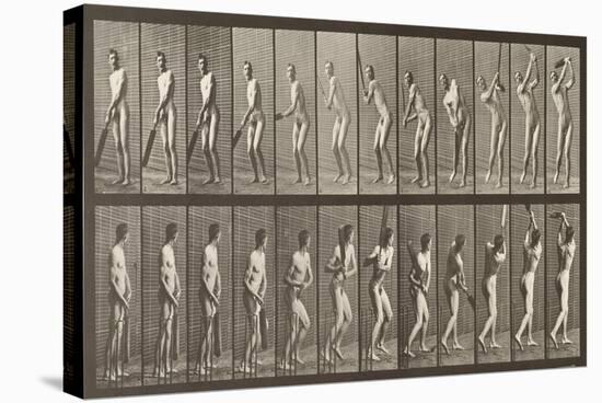 Cricketer, Plate 291 from 'Animal Locomotion', 1887-Eadweard Muybridge-Stretched Canvas