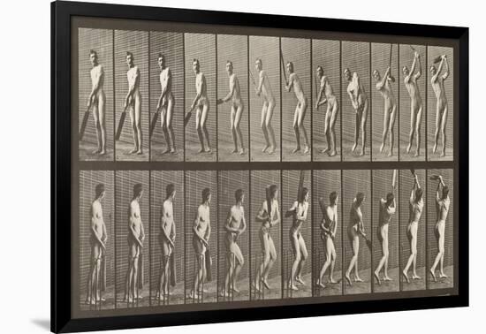 Cricketer, Plate 291 from 'Animal Locomotion', 1887-Eadweard Muybridge-Framed Giclee Print