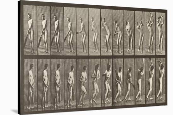 Cricketer, Plate 291 from 'Animal Locomotion', 1887-Eadweard Muybridge-Stretched Canvas