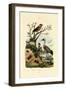 Crickets, 1833-39-null-Framed Giclee Print