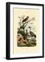 Crickets, 1833-39-null-Framed Giclee Print