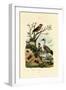 Crickets, 1833-39-null-Framed Giclee Print