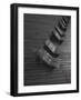 Crime Scene-David Senechal Photographie-Framed Photographic Print