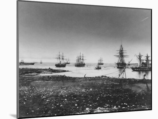 Crimean War, French Squadron, Entry Into the Port, 1855-Jean Baptiste Henri Durand-Brager-Mounted Photographic Print