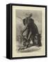 Criminal Executed by an Elephant at Baroda-Emile Antoine Bayard-Framed Stretched Canvas