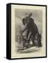 Criminal Executed by an Elephant at Baroda-Emile Antoine Bayard-Framed Stretched Canvas